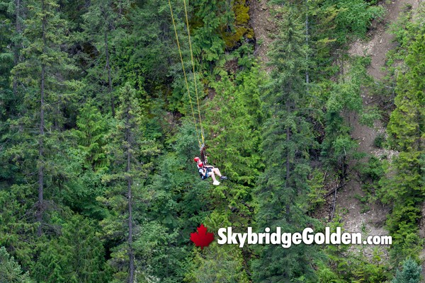 Golden Skybridge Sky Zipline 2026
