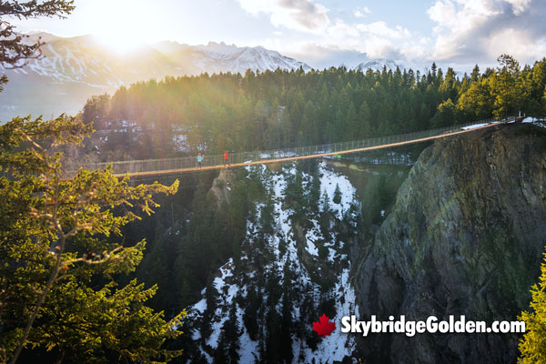 Golden Skybridge